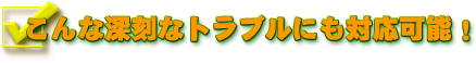 Ȑ[ȃguɂΉ\I